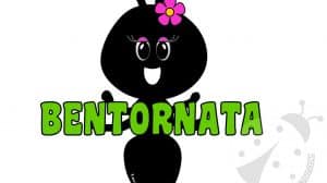 formica bentornata