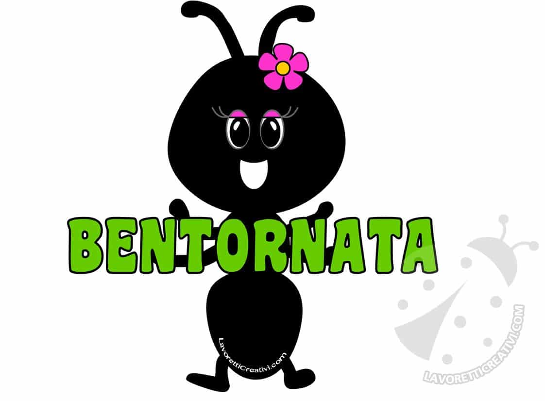 formica bentornata