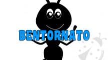 sezione formiche bentornato