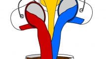 colore marrone