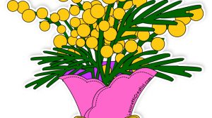 mazzo mimose festa donna 1