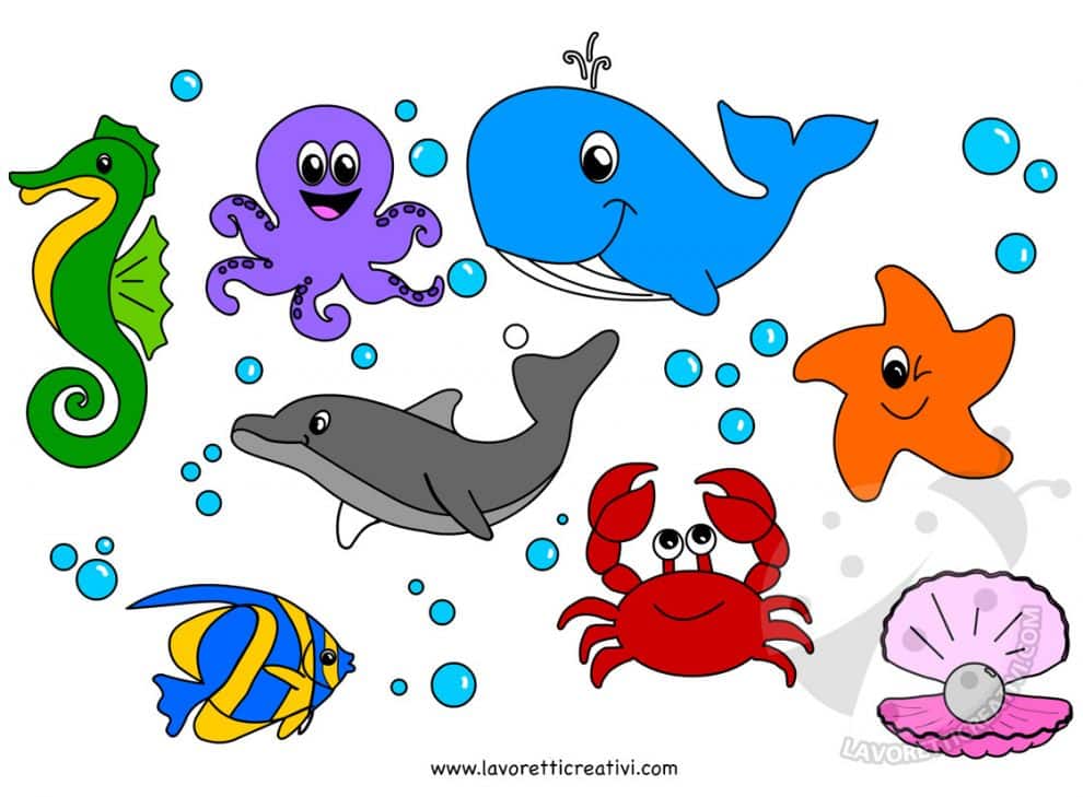 Immagini Di Animali Da Stampare A Colori Animali marini a colori da stampare - Lavoretti Creativi
