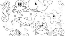 animali oceano