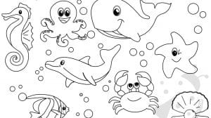 animali oceano