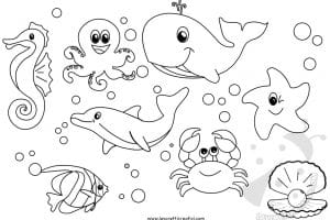 animali oceano