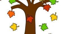 albero autunno foglie cadono