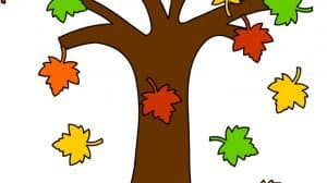 albero autunno foglie cadono