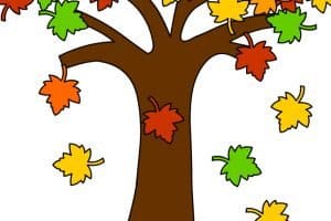 albero autunno foglie cadono