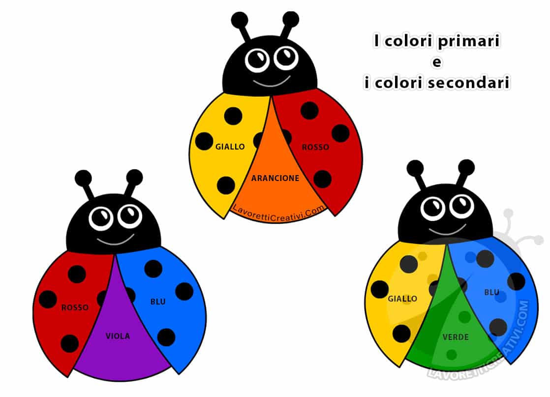 Coccinelle con colori primari e colori secondari