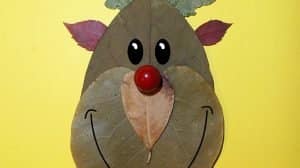 renna animali foglie