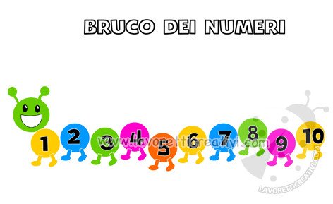 bruco dei numeri
