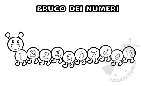 bruco numeri2