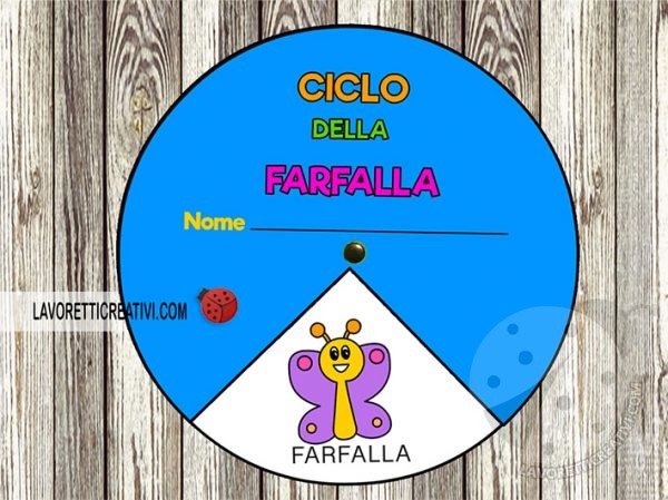 ciclo farfalla bambini