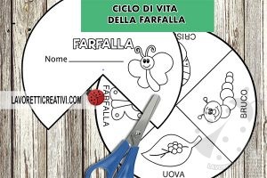 ciclo farfalla disco 1