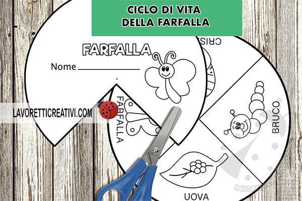 il ciclo vitale della farfalla per bambini