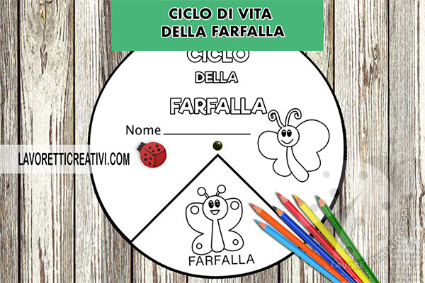 ciclo farfalla disco 2