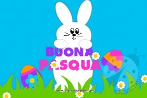 Buona Pasqua coniglio