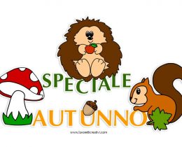 speciale lavoretti autunno