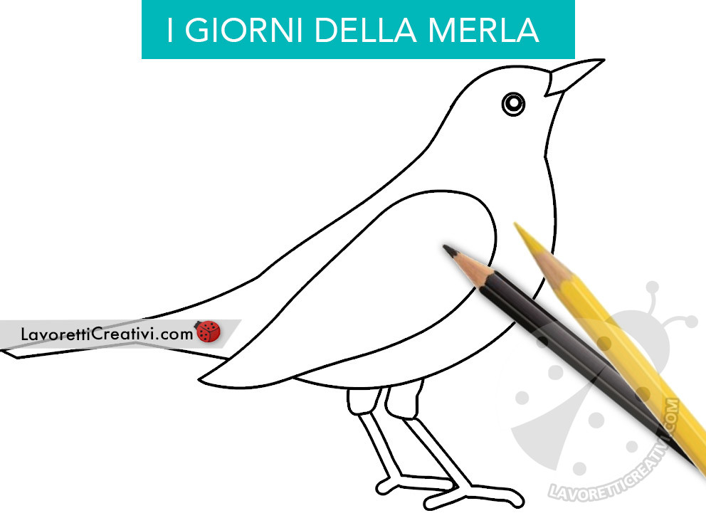 merla disegno per bambini