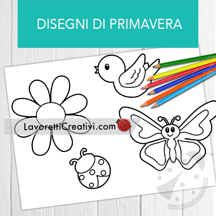 primavera disegni