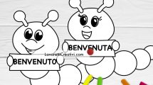 bruchi accoglienza