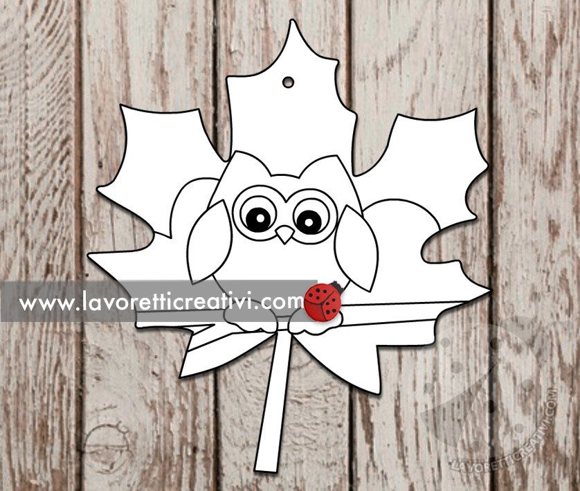 Foglia di acero con gufo 7 disegno foglia gufo