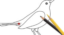 merlo disegno