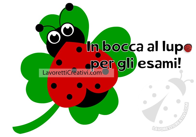 In bocca al lupo con coccinella