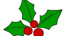 agrifoglio natale2