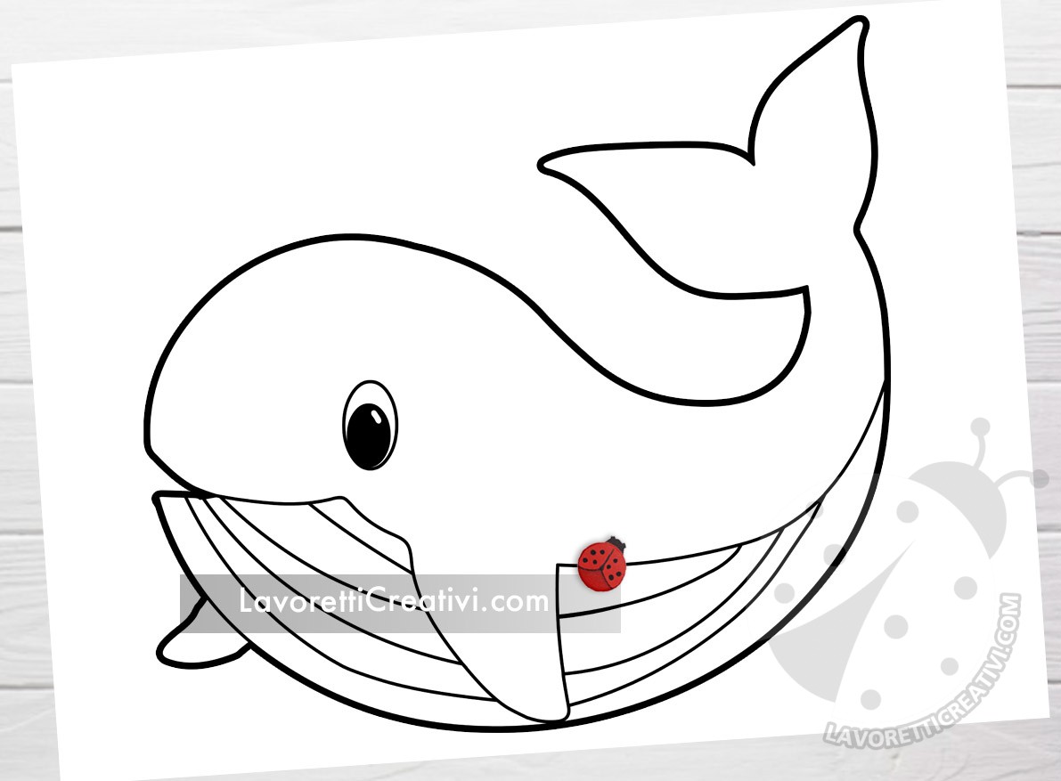 balena disegno