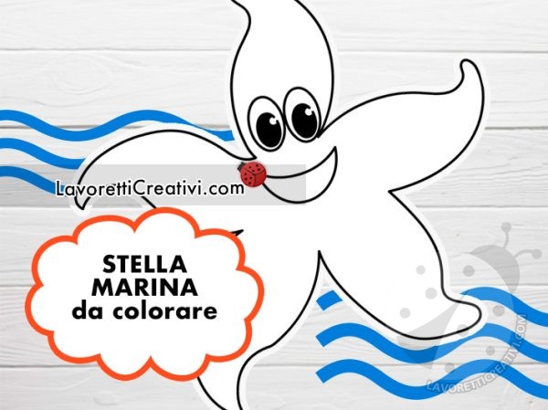 disegno stella marina