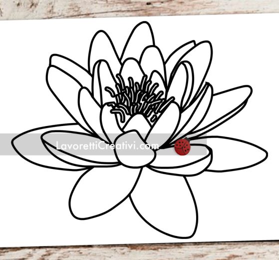 fiore di loto disegno