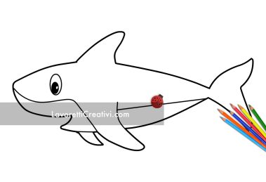 squalo disegno