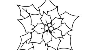 disegno stella natale