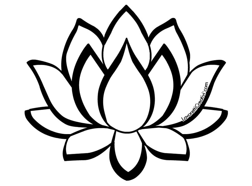 fiore loto disegno
