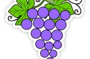 grappolo uva colorato1