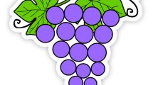 grappolo uva colorato1