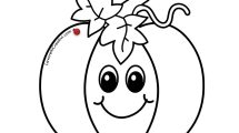 zucca disegno