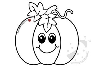 Zucca disegno