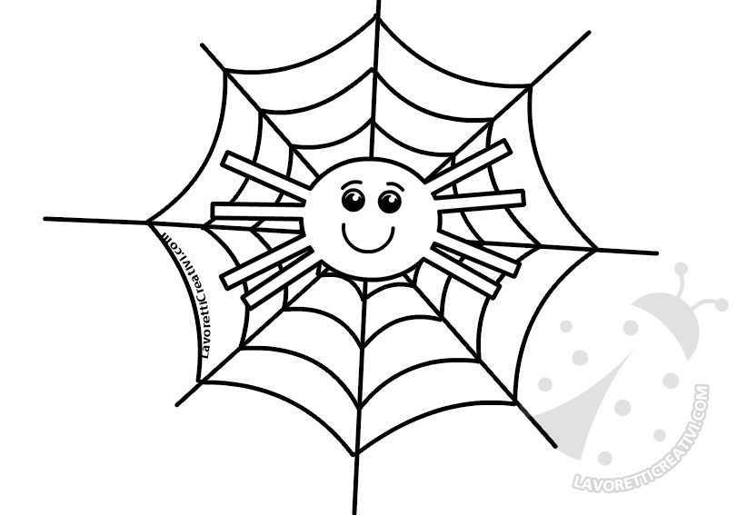 disegno ragno