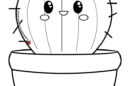 cactus disegno