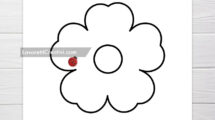 fiore 5 petali