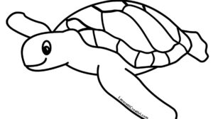 tartaruga