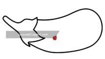 melanzana disegno
