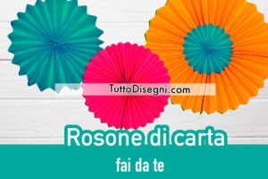 rosone carta 5