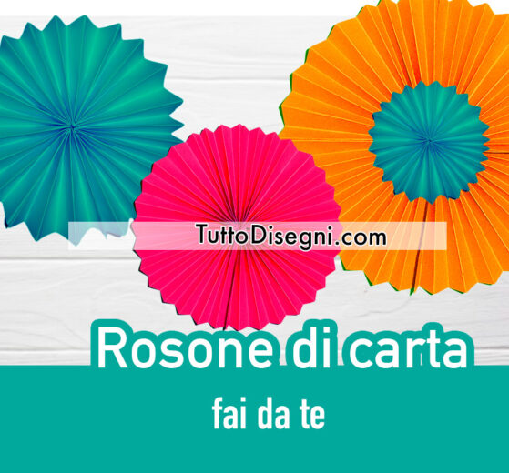 Rosone di carta a ventaglio 9 rosone carta 5