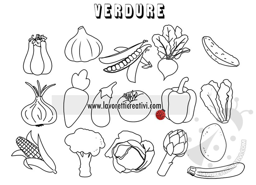 verdure disegno