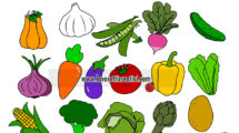verdure immagine