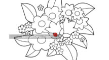 cespuglio fiori disegno