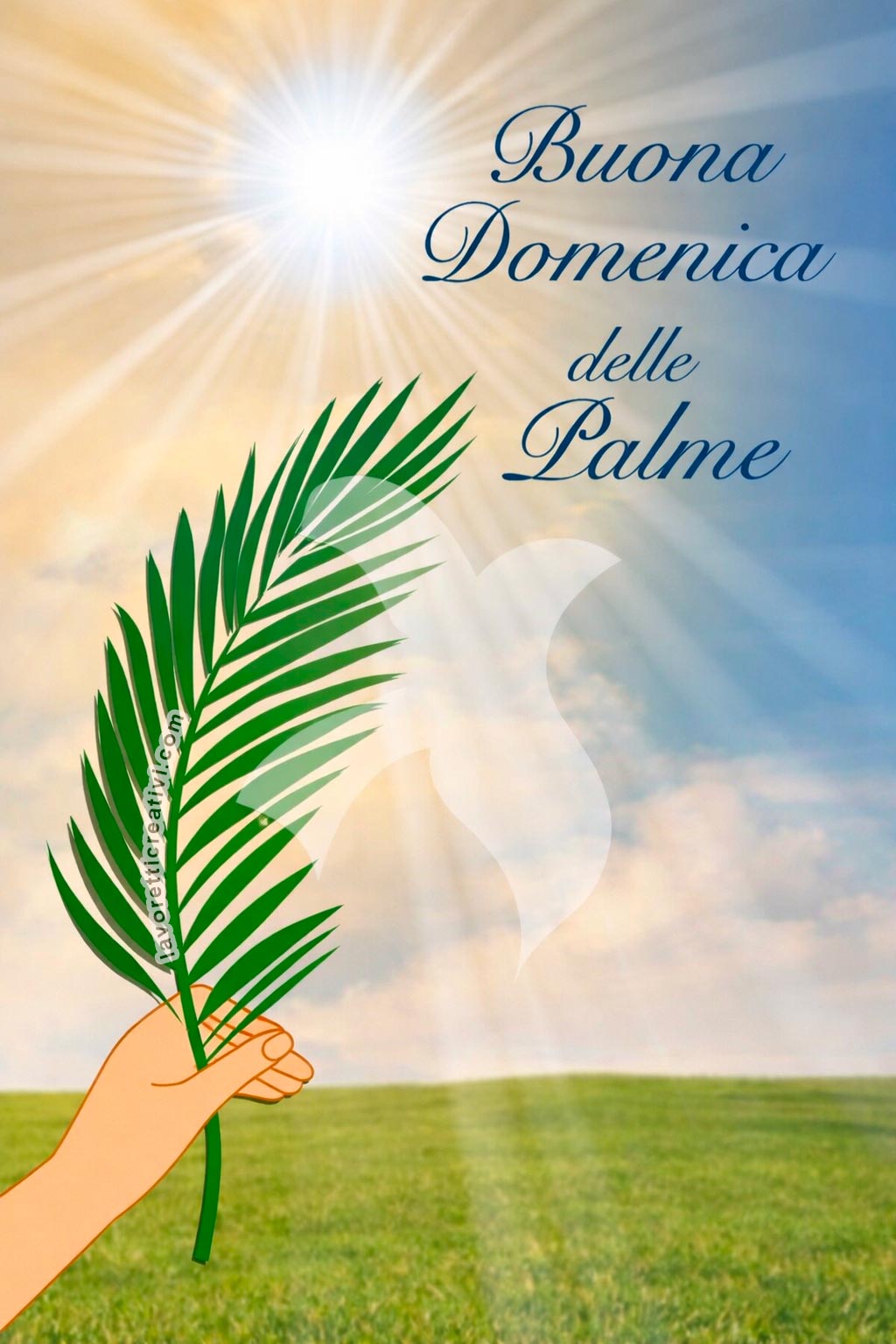 immagine domenica palme